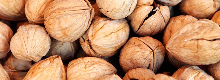 Nueces - Clínica Aguilar Rosell